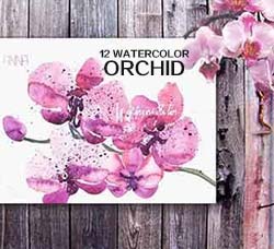 12个水彩风格的兰花素材：12 watercolor orchid